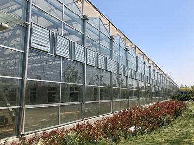 SunxFan Double Inlet 원심 팬의 새로운 업그레이드: EC 주파수 변환 기술은 무염 재배 온실이 효율적인 환기 및 온도 제어를 달성하는 데 도움이됩니다.