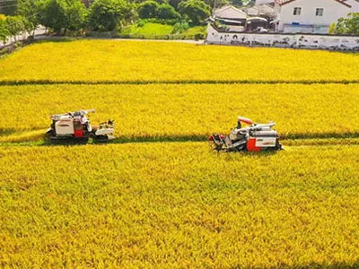 면 따기에서 수확까지, SunxFan EC 가변 주파수 더블 입구 원심 팬