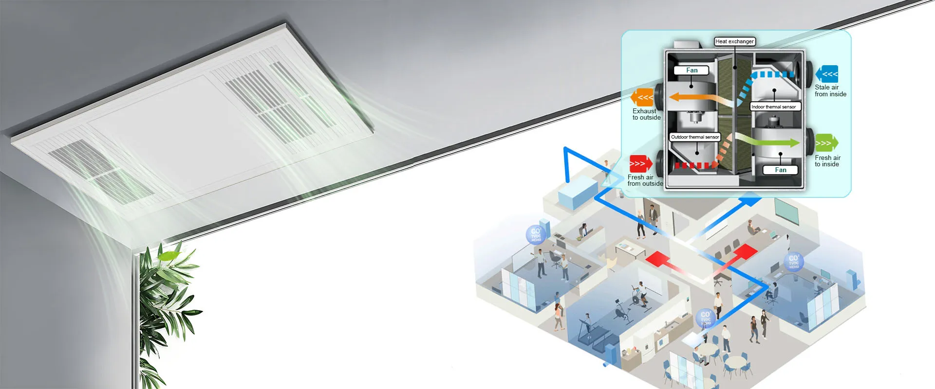알고리즘 호흡, 바람 진화.